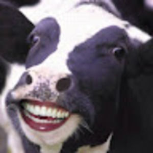 Meet your Posher, Rylee